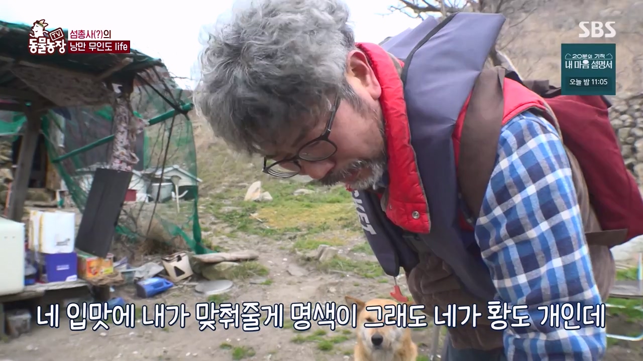 TV 동물농장.E1172.240520p-NEXT.mp4_20240519_165217.197.jpg