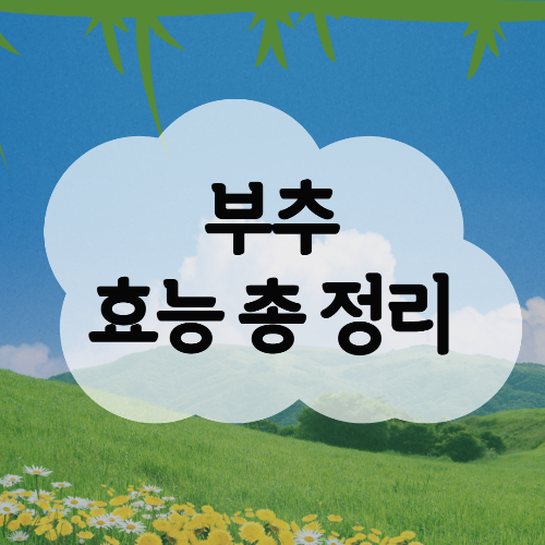  부추 효능 총 정리 / 부추종류 / 보관법 / 부작용 / 세척법 / 먹는법