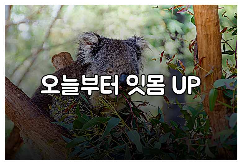 오늘부터 잇몸 UP