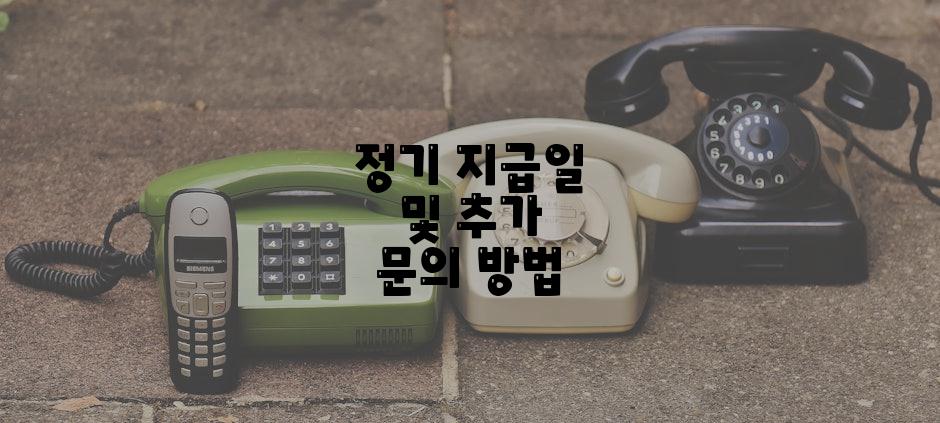 정기 지급일 및 추가 문의 방법