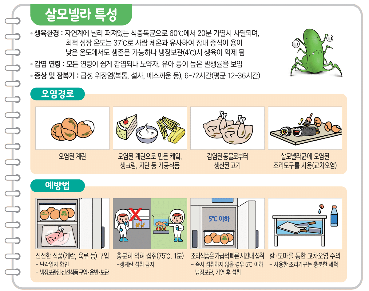  살모넬라 식중독