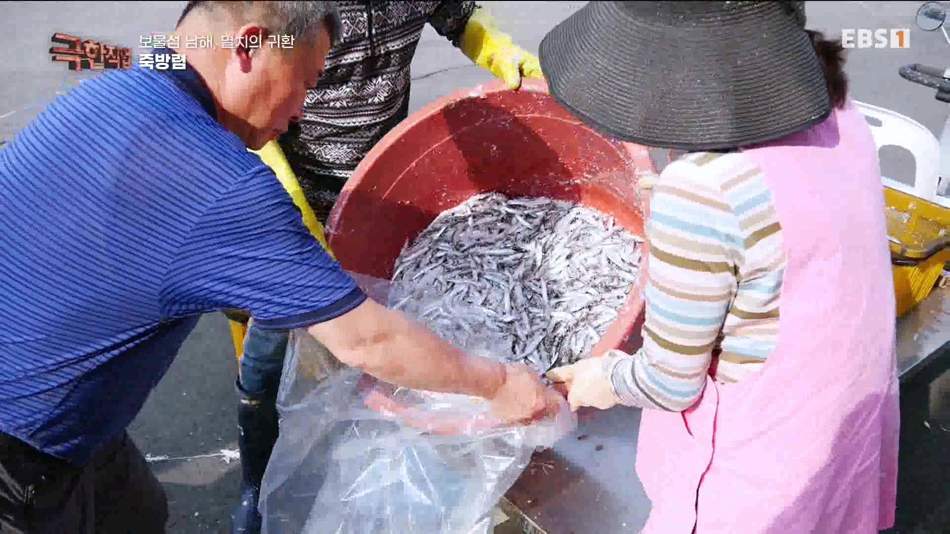 극한 직업 - 보물섬 남해, 멸치의 귀환 1080p.mp4_20230612_202042.456.jpg