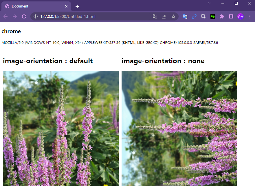 image-orientation in chrome