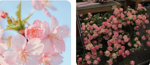  자존감이 떨어질때 자존감 높여주는 말 -인생글귀 모음