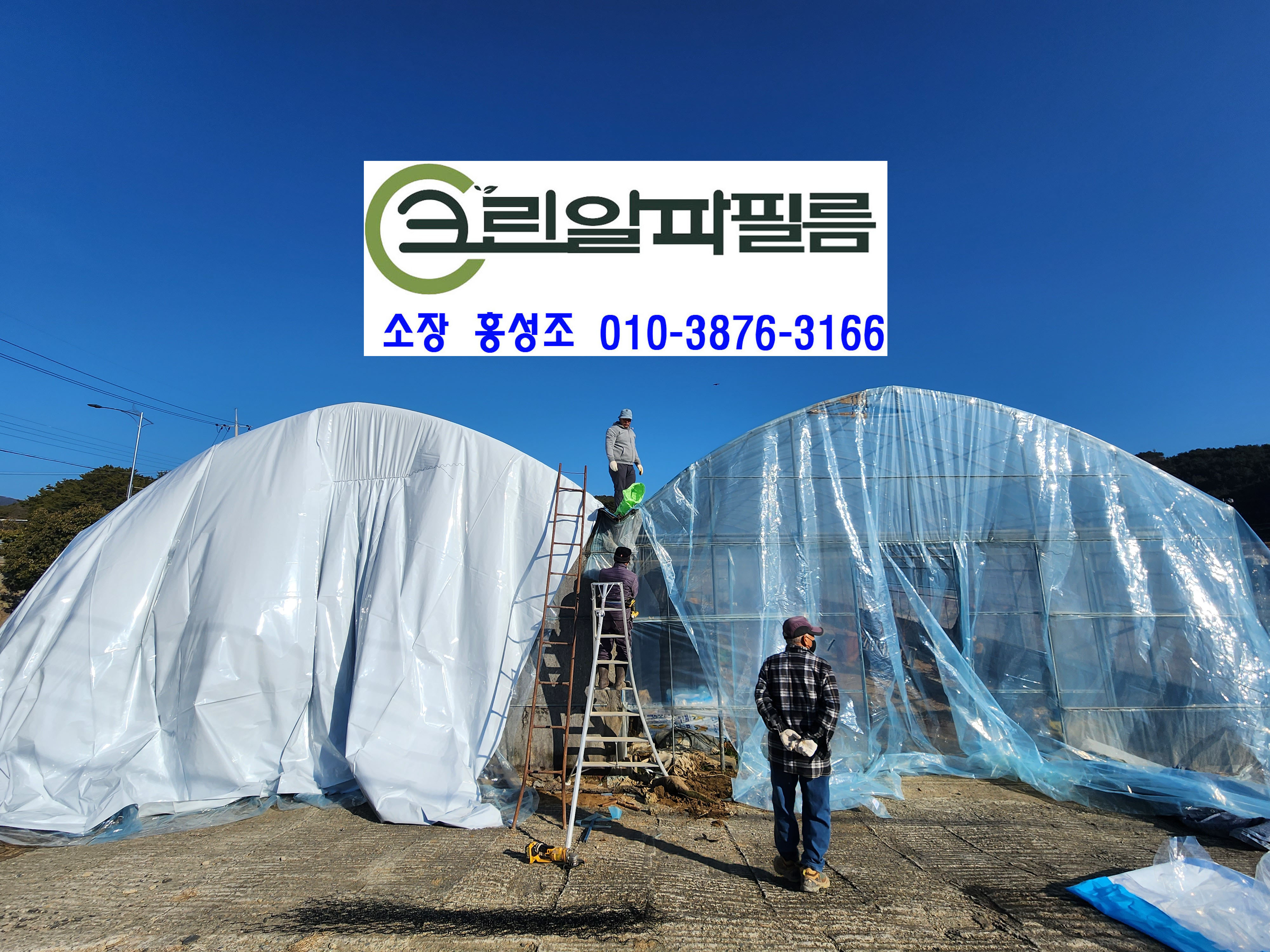 크린알파필름 이미지