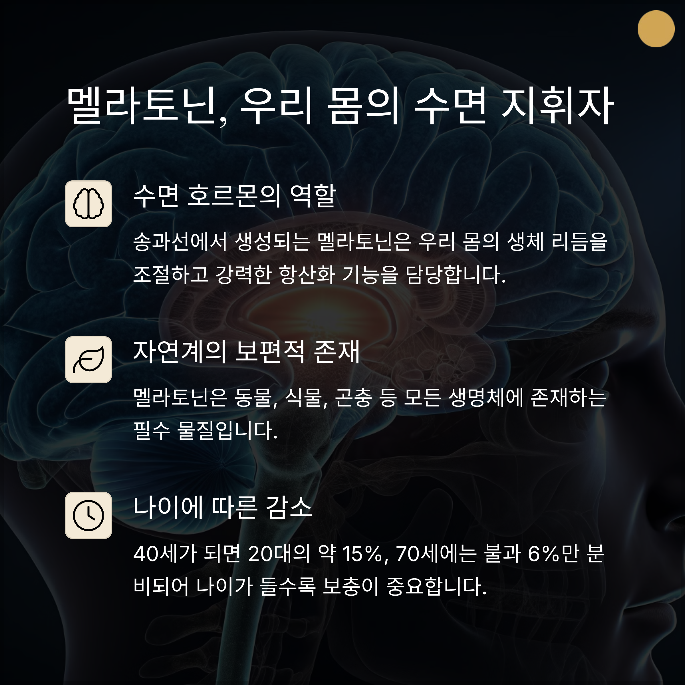 식물성 멜라토닌을 선택해야 하는 이유