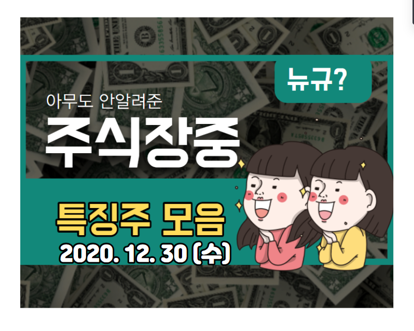  특징주 모음 (20.12.30,수)