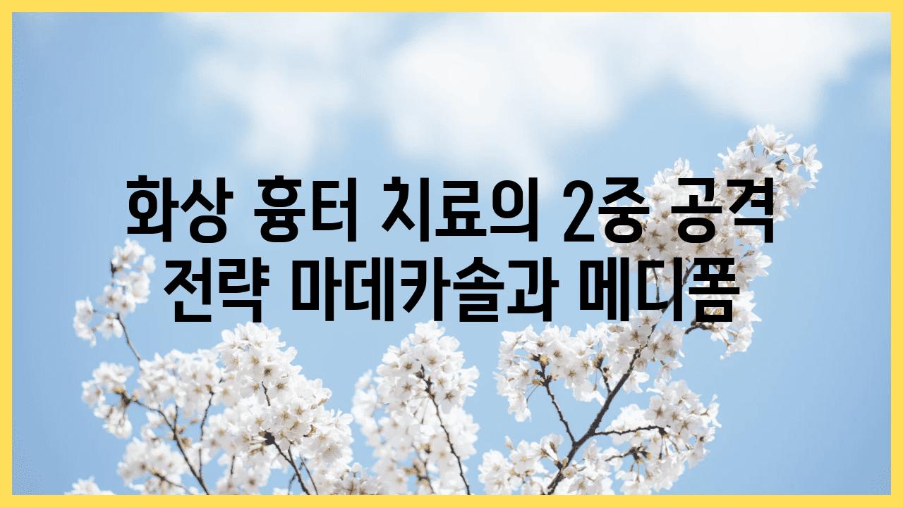 화상 흉터 치료의 2중 공격 전략 마데카솔과 메디폼