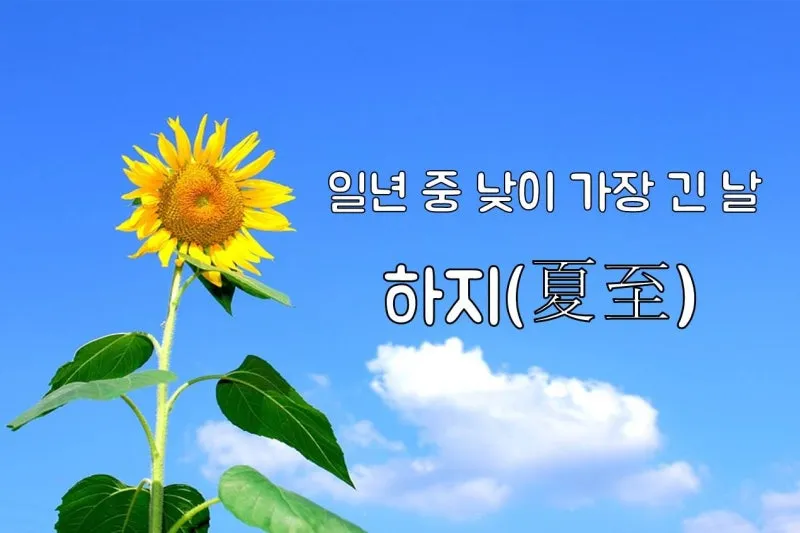 하지 날짜 24절기 망종 소서 전통음식까지_3