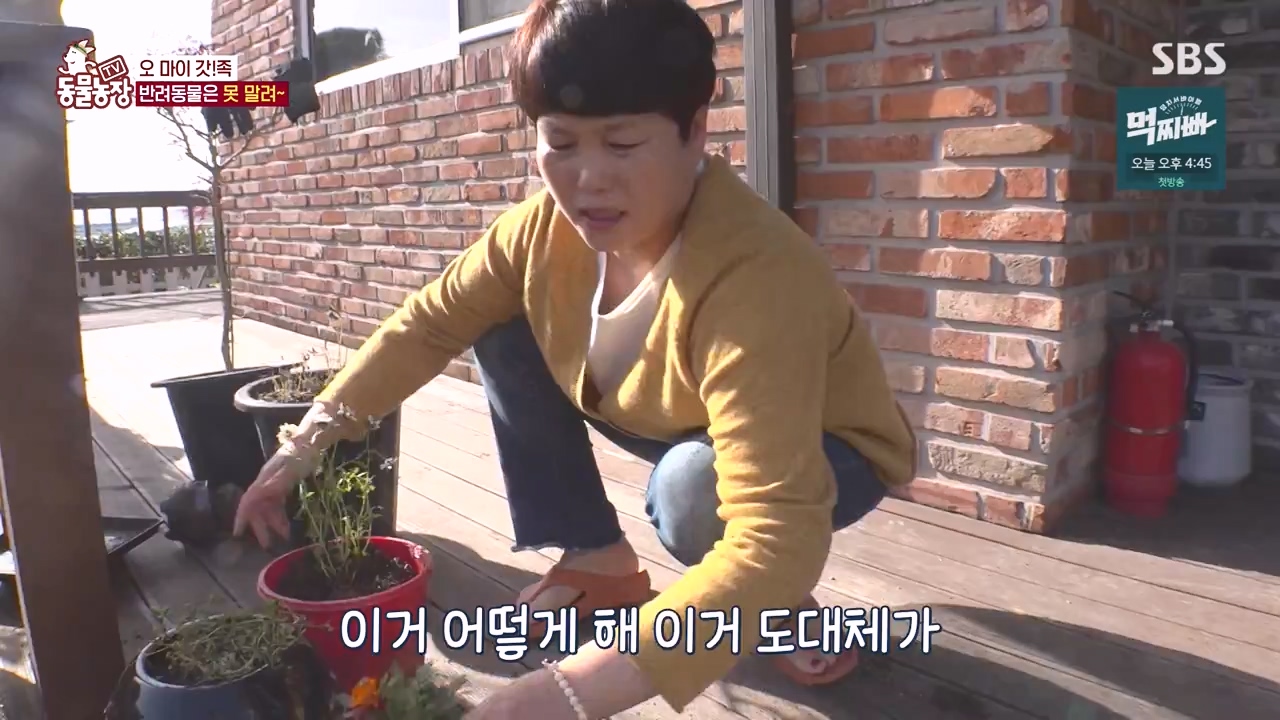 TV 동물농장.E1140.231009p-NEXT.mp4_20231008_174817.223.jpg