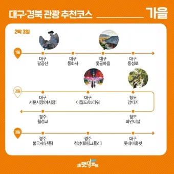 대구 경북 6월 축제 가볼만한 곳 2025년 최신_11