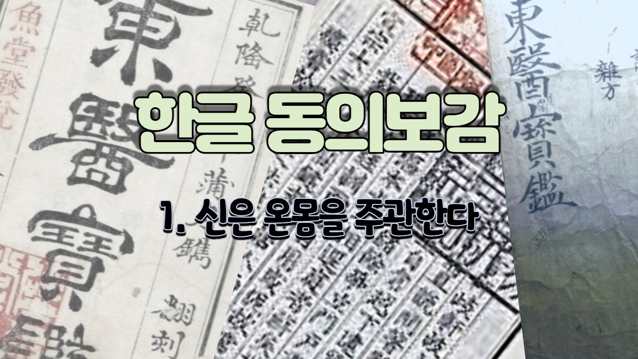  1.  신은 온몸을 주관한다 ( 내경편 신 )