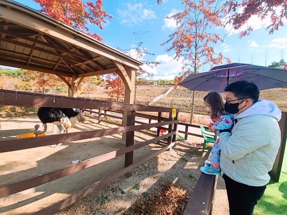 #부산 아이와가 볼만한 바다 운대수목원 40