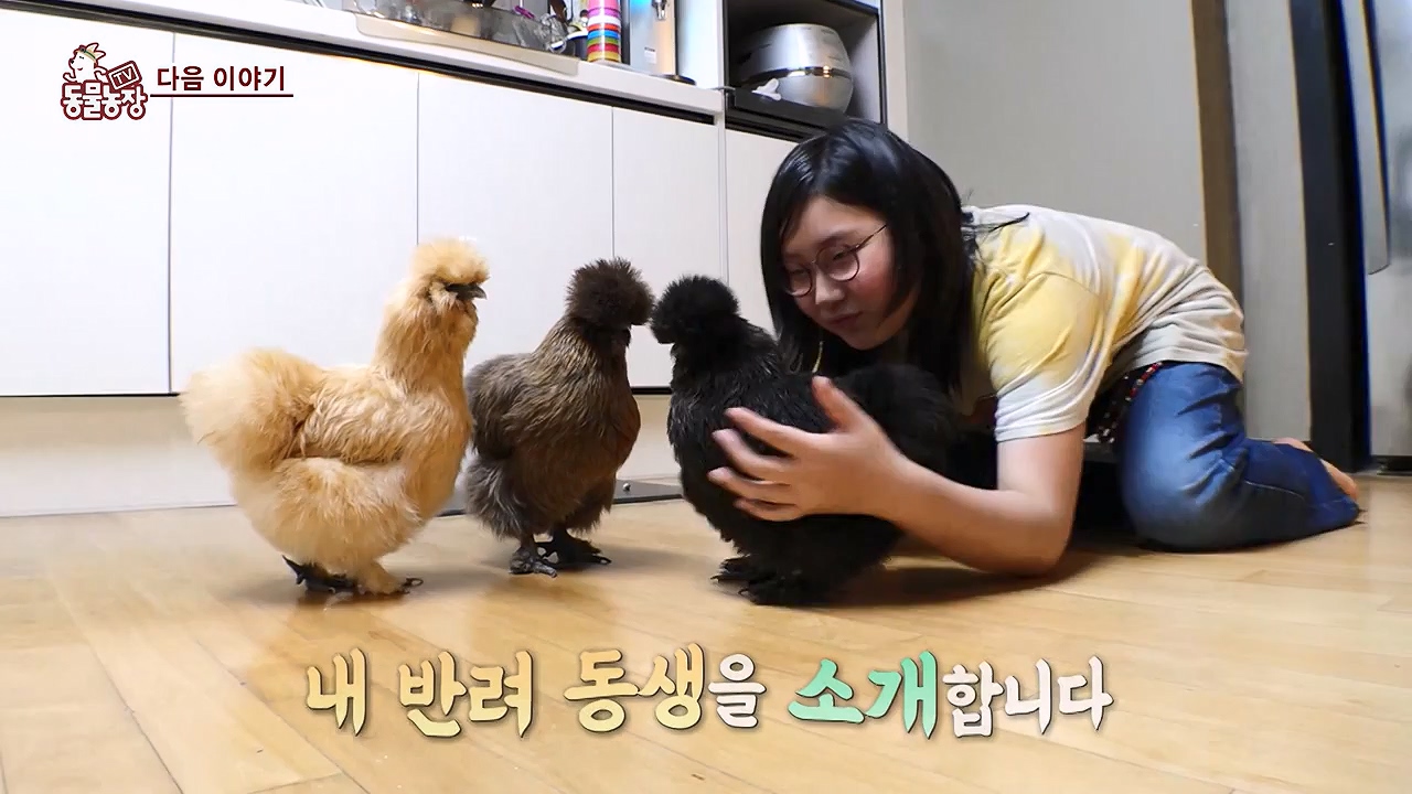 TV 동물농장.E1174.240603p-NEXT.mp4_20240602_155749.512.jpg