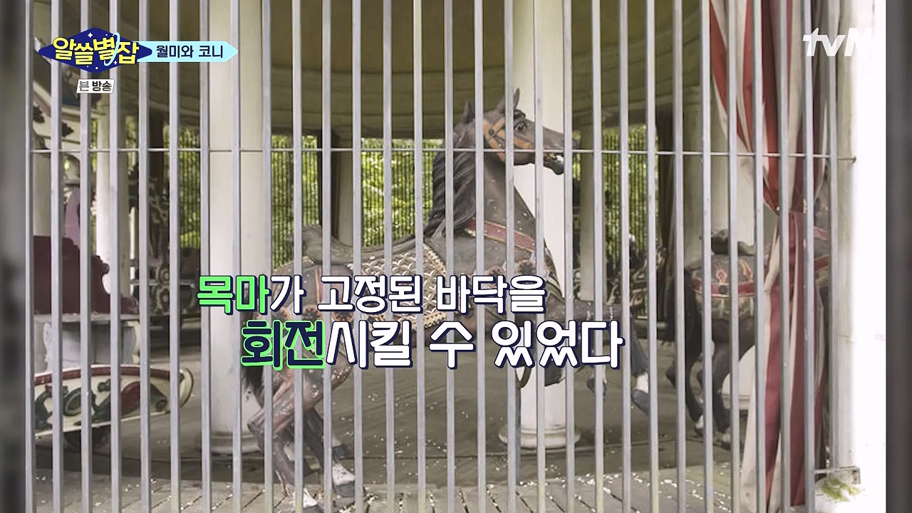 알쓸별잡.E05.230832p-NEXT.mp4_20230902_172251.602.jpg
