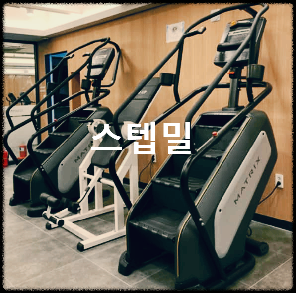  스텝밀 : 천국의 계단으로 불리는 유산소 운동기구 중 체지방 감량의 끝판왕