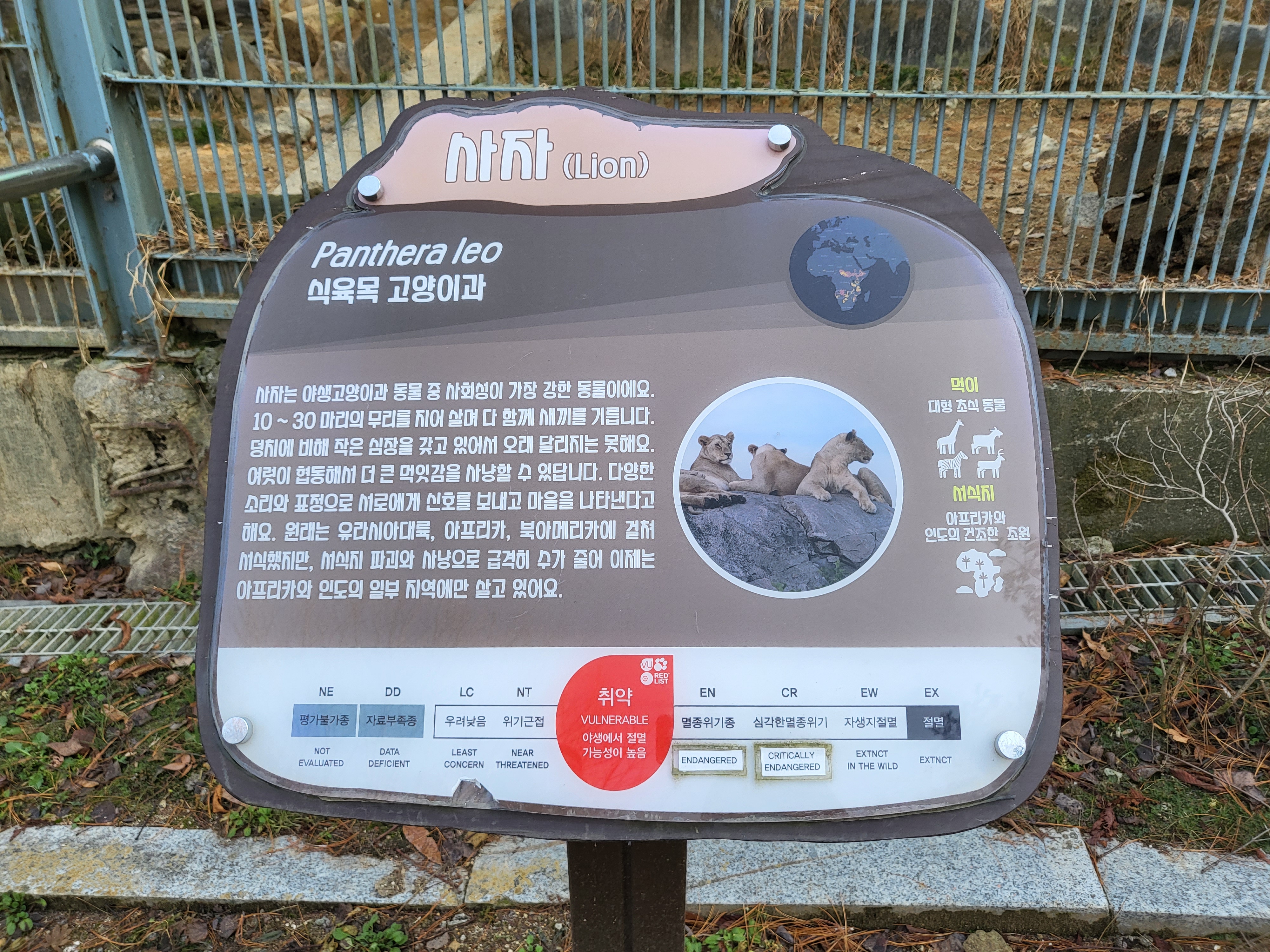 청주 동물원 - 사자 안내판