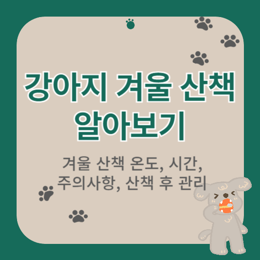 강아지 겨울산책