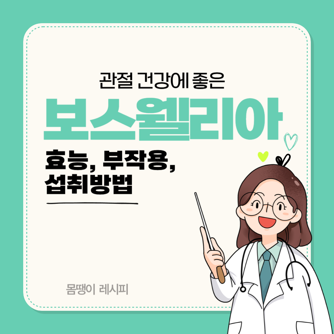 보스웰리아 효능 부작용 섭취방법 완벽 정리