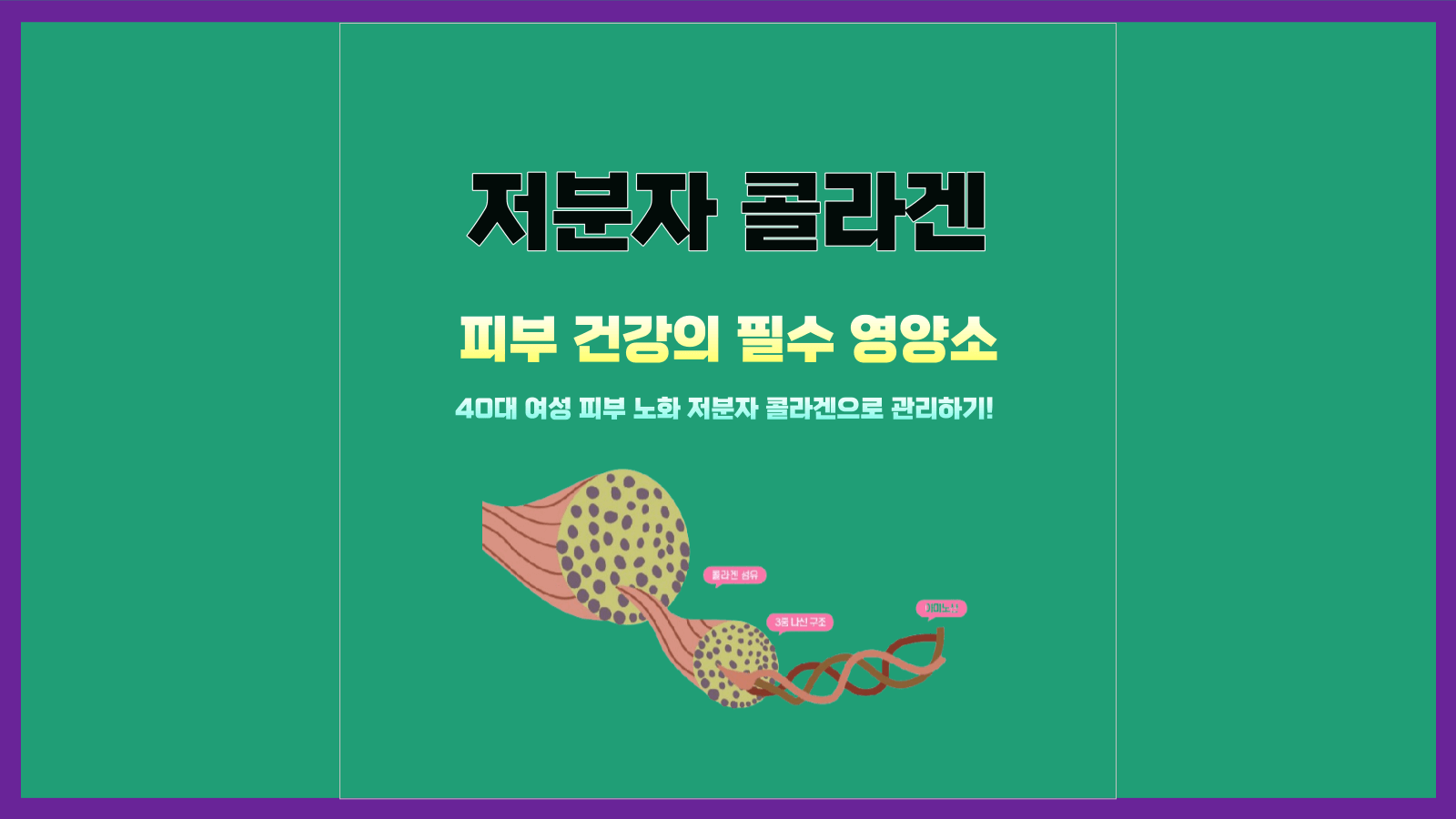 저분자 콜라겐