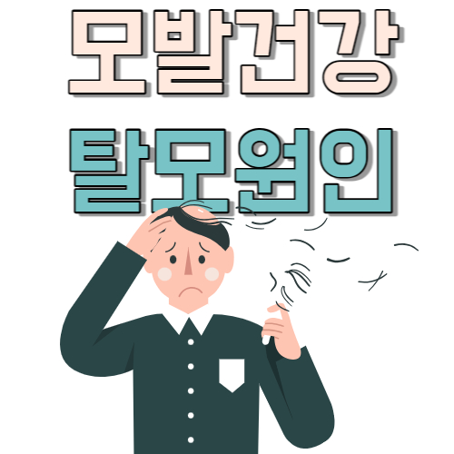  모발 알아야 탈모 막는다. 탈모 치료는 원인만 찾으면 가능