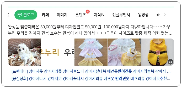 반려견 옷 맞춤 제작_1_subsection