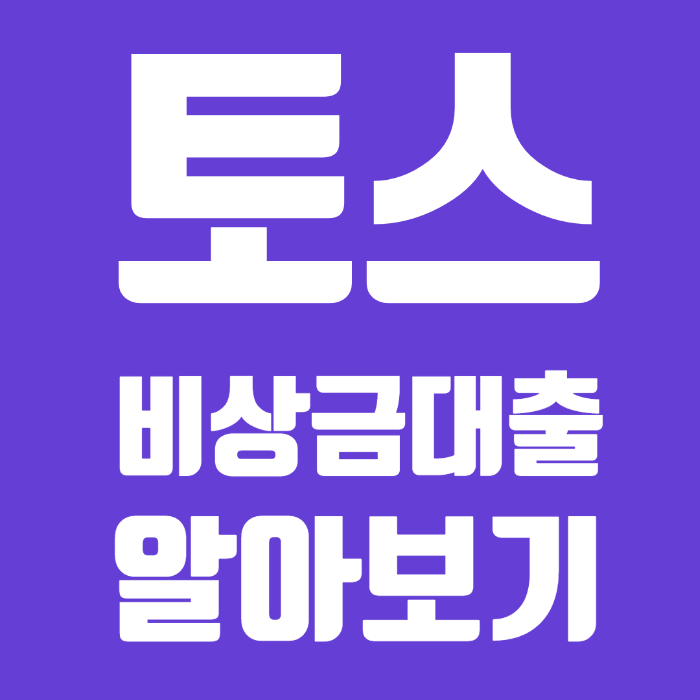 토스 비상금대출