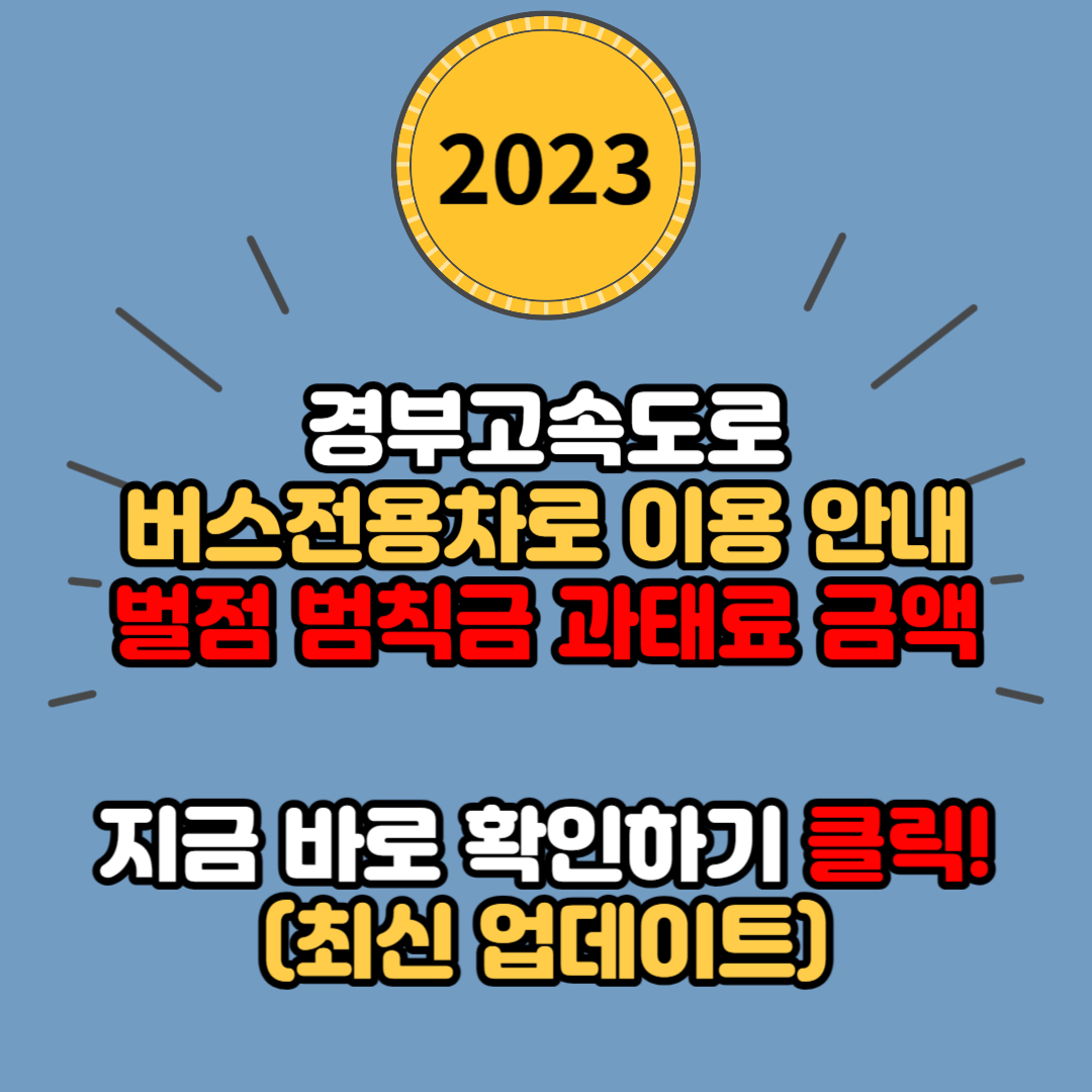 경부 고속도로 버스전용차로 이용 안내 (시간 및 위반시 벌점 범칙금 과태료 확인하기)