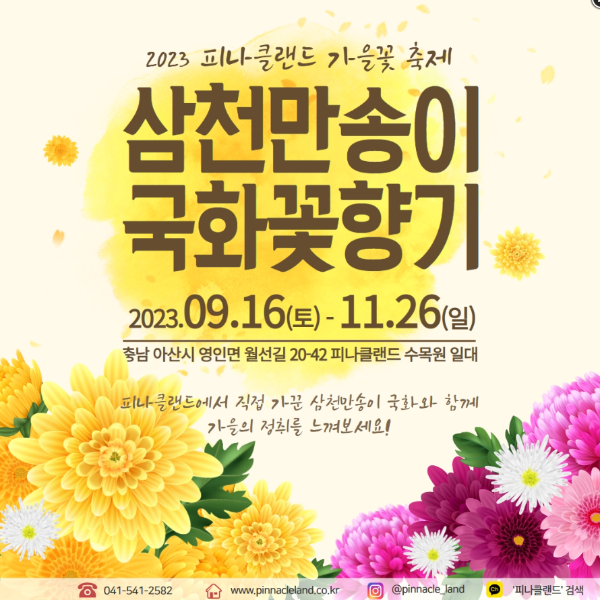  피나클랜드 삼천만 송이 국화축제 가을 꽃 향기