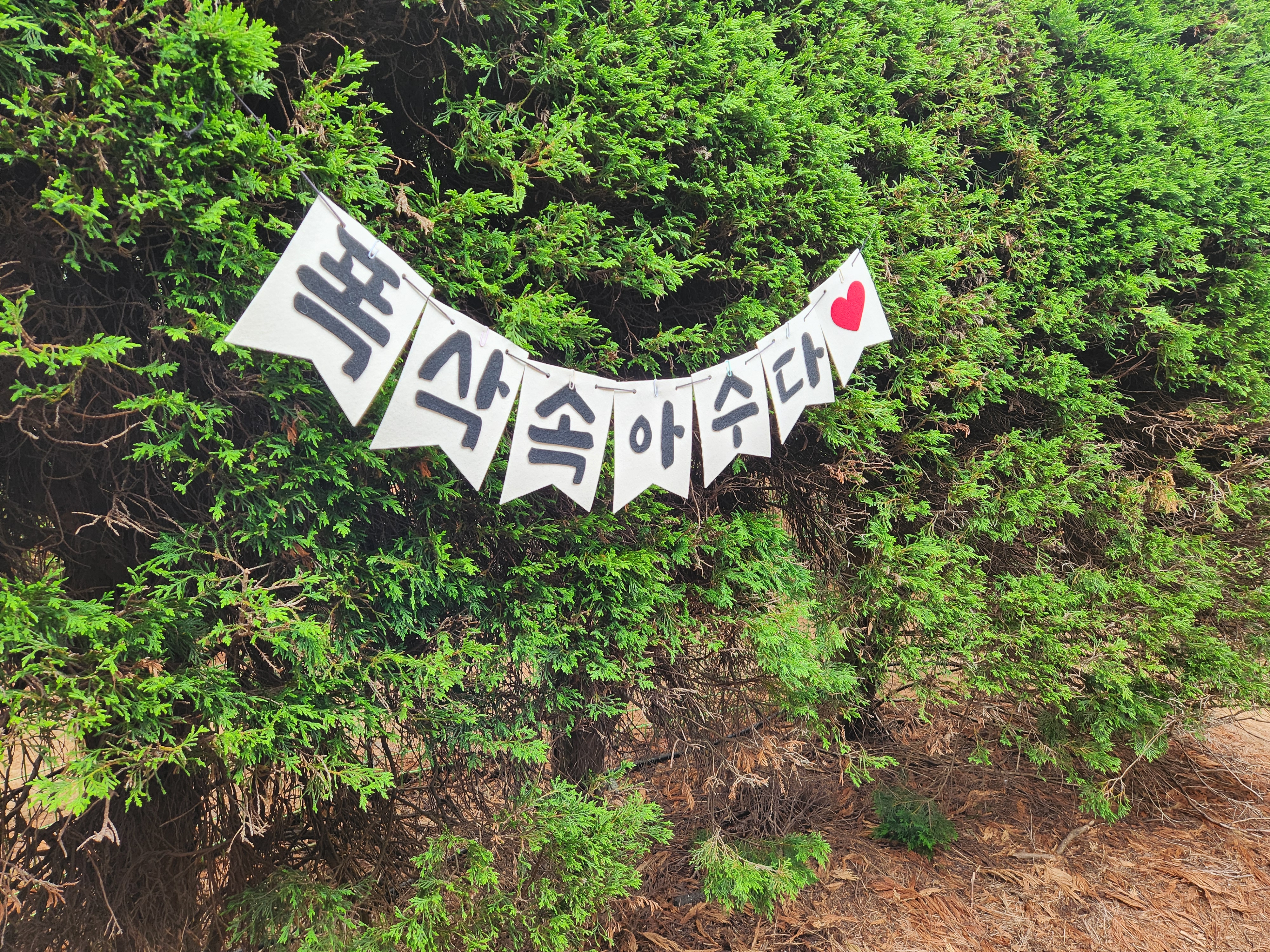 미로공원