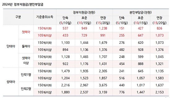 산후도우미 정부지원금