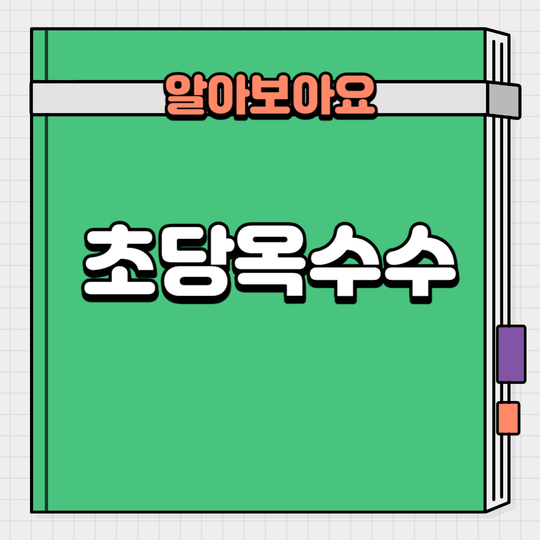 초당옥수수