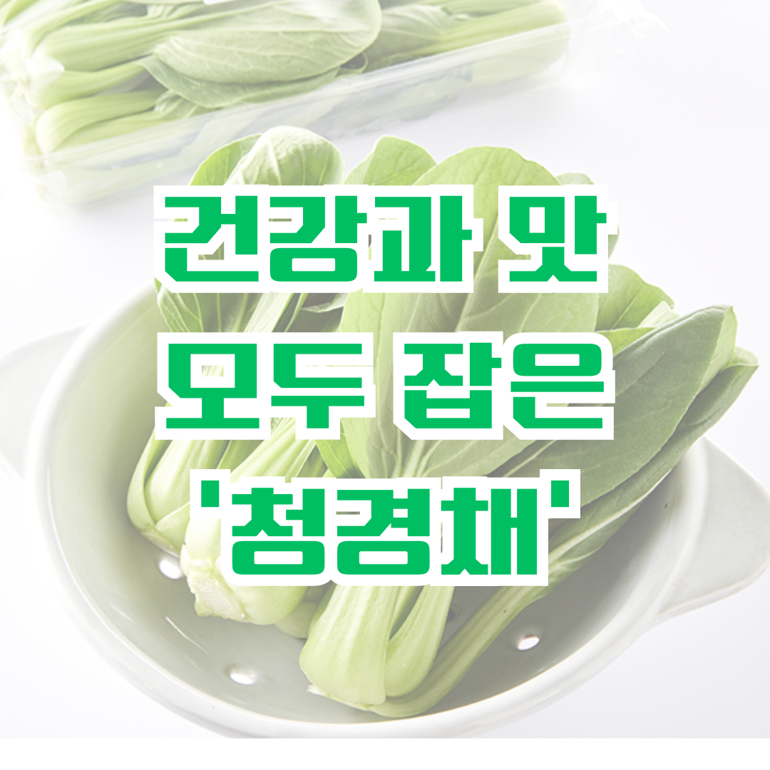 청경채 영양소 관련 사진