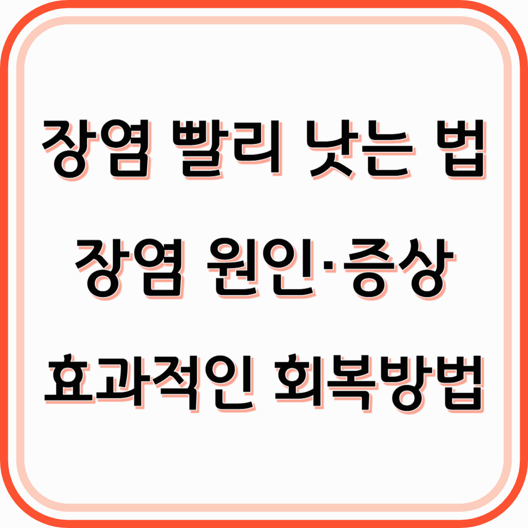 장염 빨리 낫는 법 효과적인 회복을 위한 실천 가이드