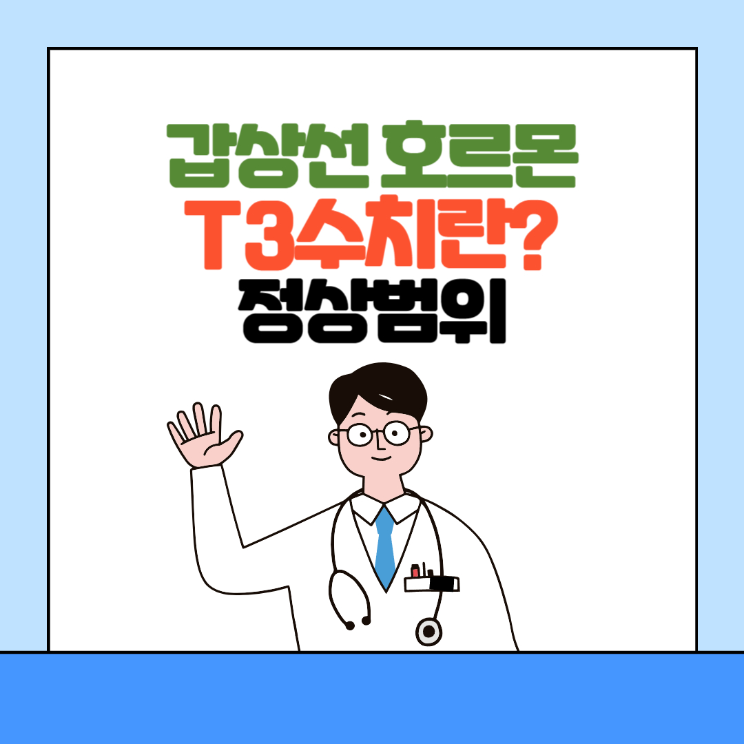 t3호르몬