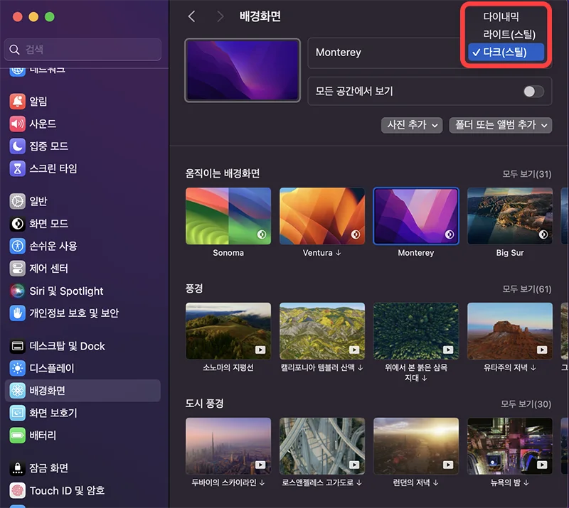 맥북에서 배경화면 바꿀 때 다크 설정 모습