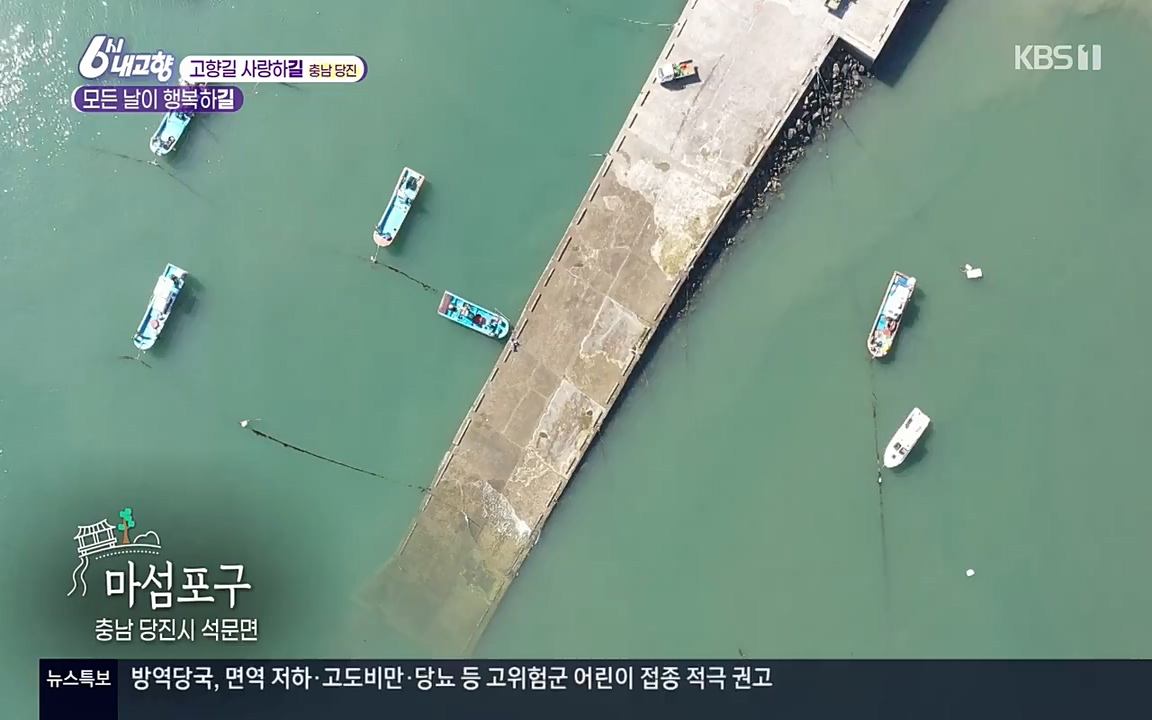 6시 내고향.E7515.220409p-NEXT.mp4_20220414_163550.927.jpg