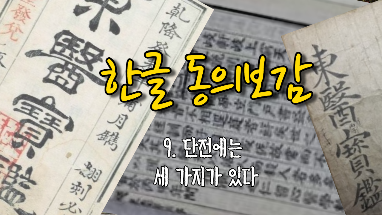  9. 단전(丹田)에는 세 가지가 있다 ( 내경편 신형 )