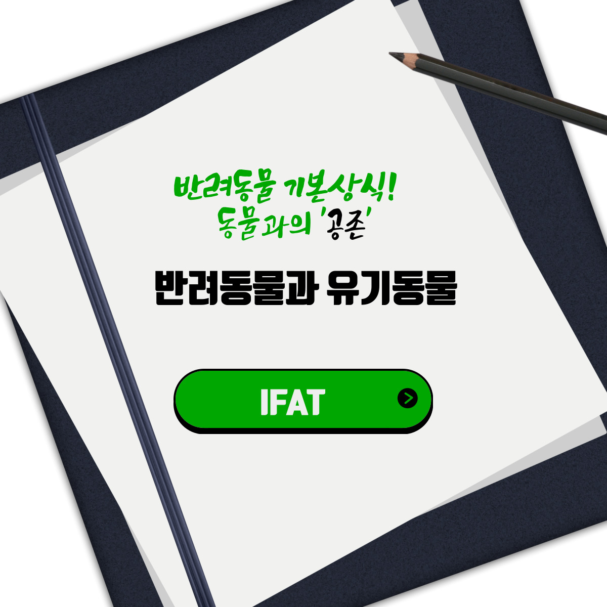  반려동물 기본상식! 유기동물 '공존'