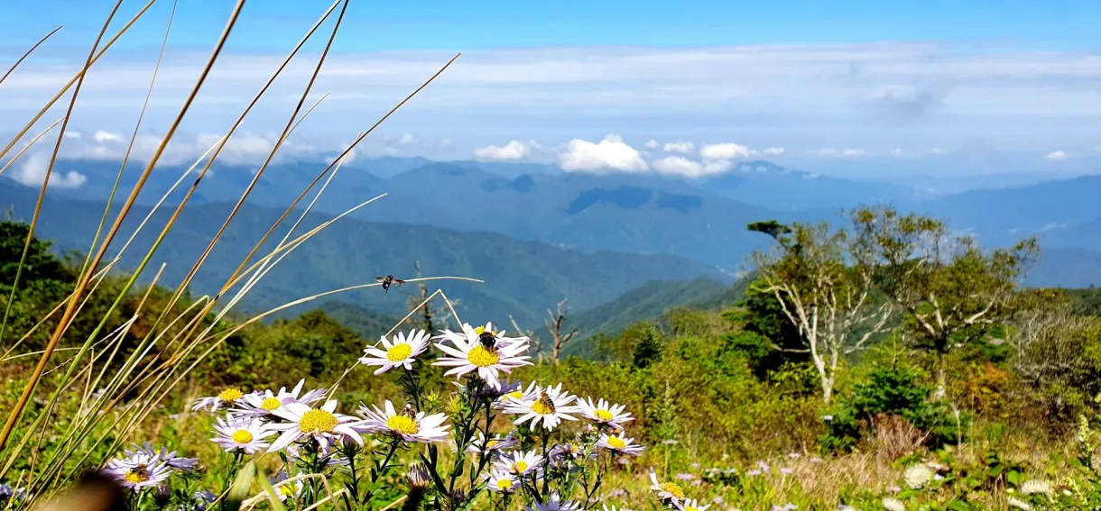 지리산 가을 마중 산행