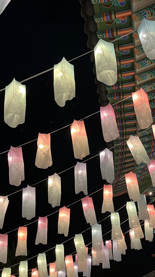 바이바우 이미지