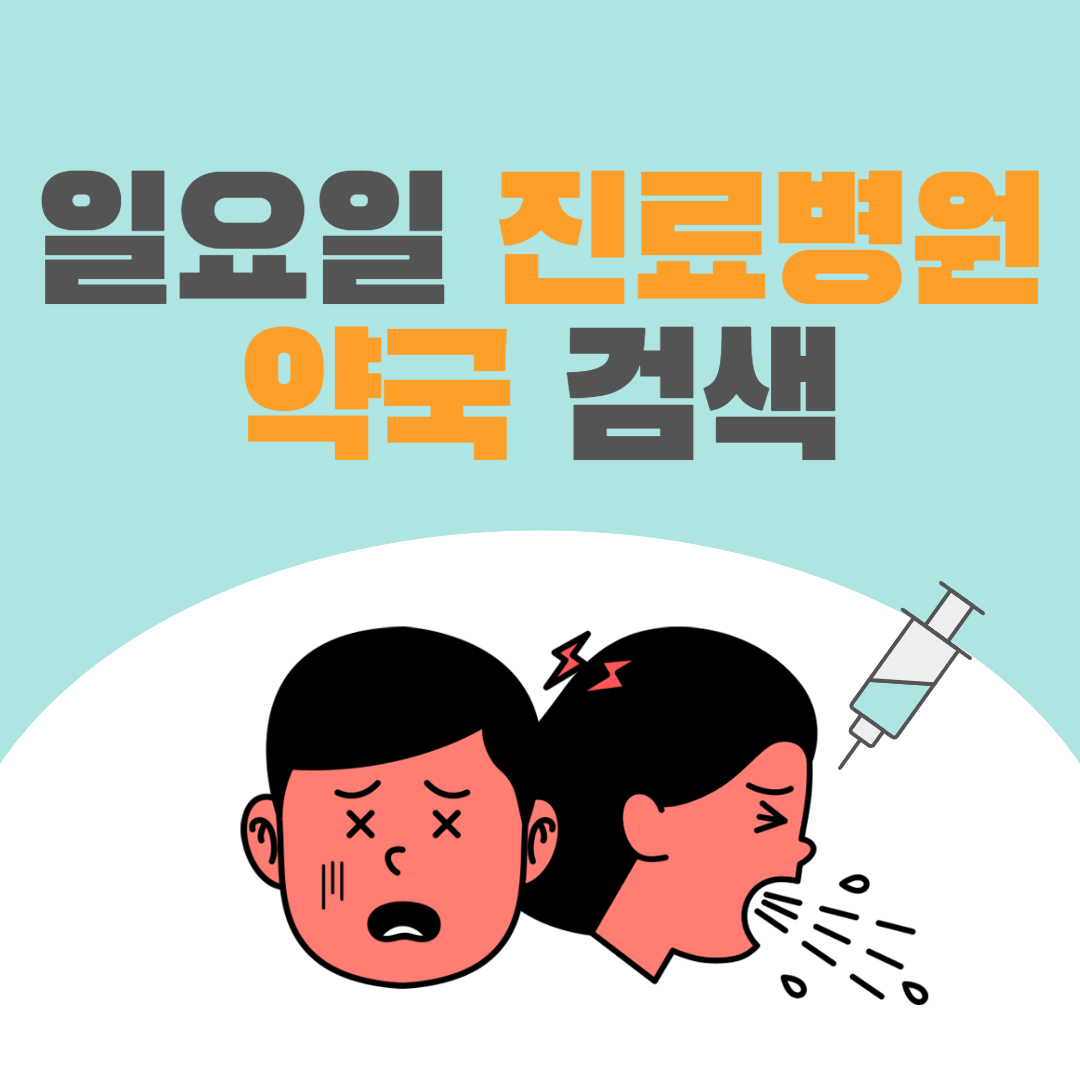  야간, 주말, 공휴일, 일요일 진료병원 약국 검색 방법(최신)