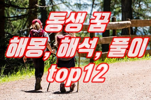  동생 꿈 해몽 해석 풀이 TOP12 (생기는, 싸우는, 결혼하는)