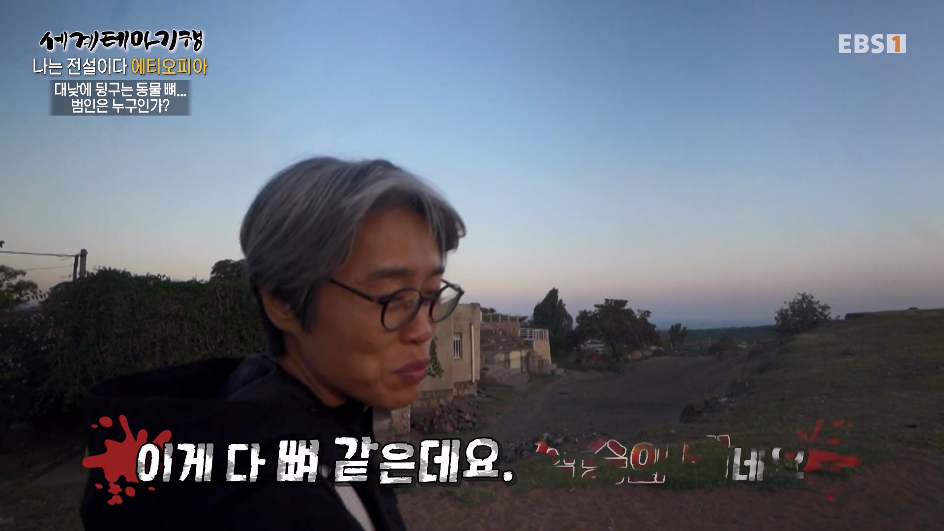 세계테마기행 240116 나는 전설이다 에티오피아 -골목의 전설, 하라르0p.mp4_20240713_174144.936.jpg