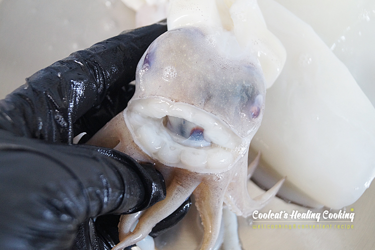 갑오징어숙회, 갑오징어손질법과 25