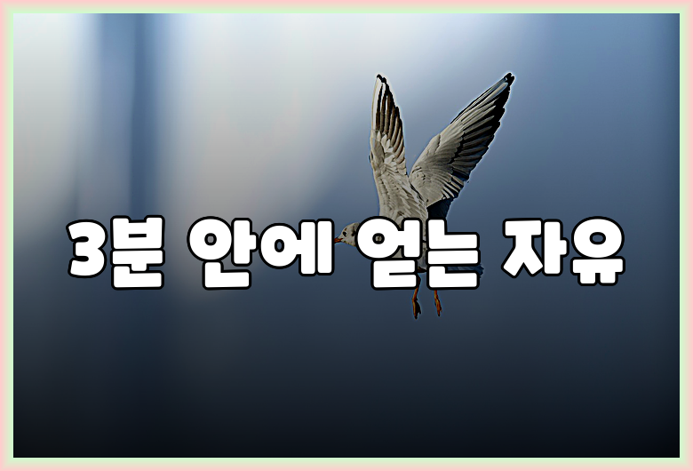 3분 안에 얻는 자유