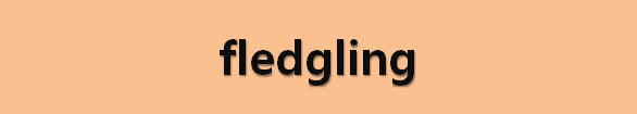  뉴스로 영어 공부하기: fledgling (신출내기)