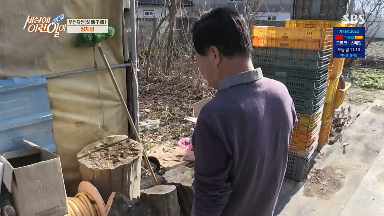 순간포착 세상에 이런일이.E1208.221207p.H264-F1RST.mp4_20221208_193117.559.jpg