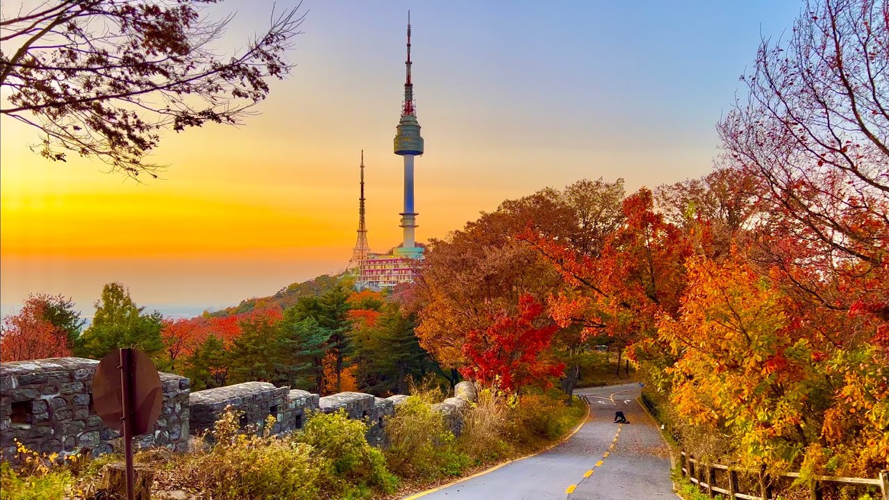 서울특별시 중구남산서울타워 남산공원