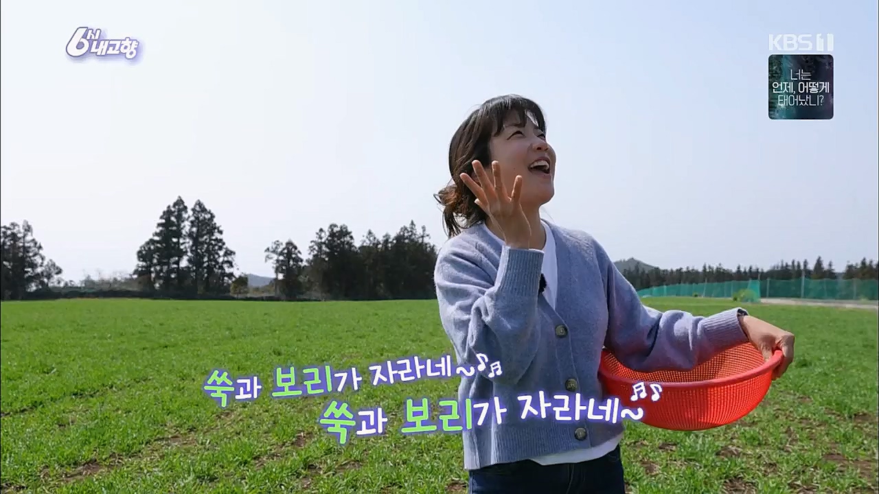 6시 내고향.E7751.230324p.H264-F1RST.mp4_20230324_205541.387.jpg